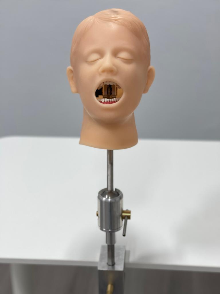 Dental phantom GF Dental