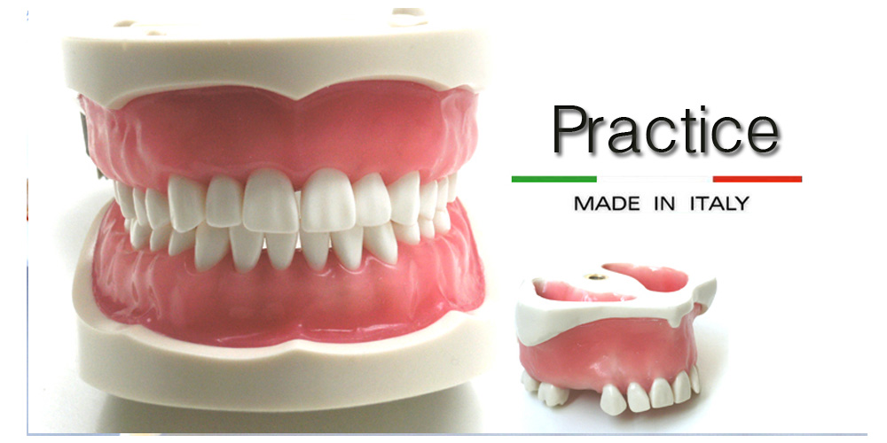 Dental practice models